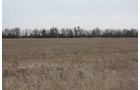 Property photo 26 - Kansas Land Auction - 960 Acres - 7 Farms in 3 Counties